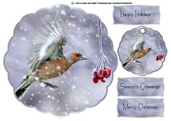 Winter Chaffinch and Berries