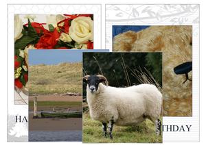 Two Card Templates 4 Photographs