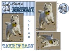 West Highland Terrier Birthday Card