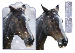 Winter Horse
