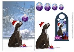 Staffordshire Bull Terrier Christmas Card
