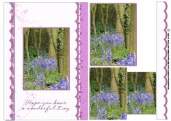 Bluebell Wood Birthday or Mother's Day Card
