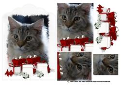 Cute Cat Christmas Quick Card