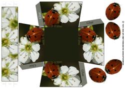 Ladybird Treat Basket
