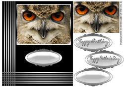 Eagle Owl Stylish Birthday or Father's Day Card