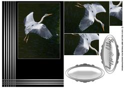 Heron in Flight Birthday or Father's Day Card