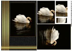 Swan Gold and Black Birthday Card