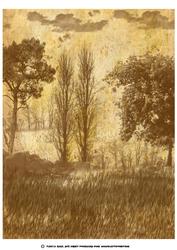 Grunge Sepia Effect Equine Paper Back