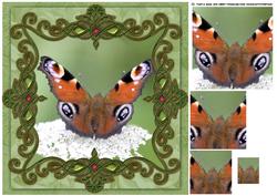 Butterfly Birthday Card Front