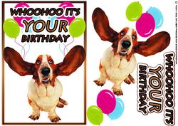 Fun Dog Birthday Card Whoohoo