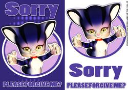Sorry Card with Cat Wanting a Hug