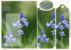 Bluebell Bookmark Greeting Card Front