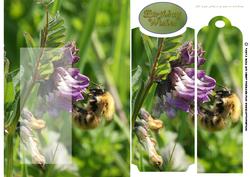 Birthday Bookmark Card with Bee and Flowers