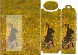 Bookmark Greeting Card with Rabbit
