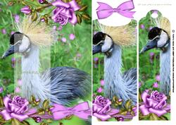Posh Bird Birthday Bookmark Card