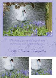 Swan Sympathy Card Front