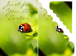 Easter Greeting Card Front with Ladybird