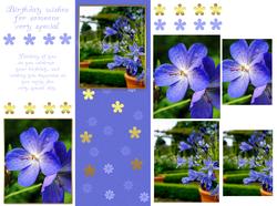 Floral Classic Birthday Greeting Card Front