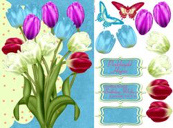 Pretty Summer Color Tulip Greeting Card Front