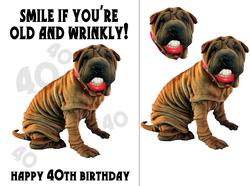 Fun Fun 40th Birthday Greeting Card with Shar Pei