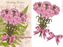 Carnation Birthday Greeting Card Front