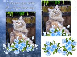 Cat Birthday Greeting Card Front with Flowers