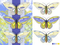 Butterfly Birthday Card Front or Any Occasion