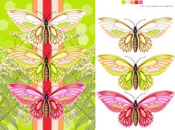 Butterfly Greeting Card Front for Any Occasion