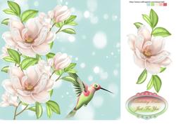 Humming Bird and Flower Birthday Card Front