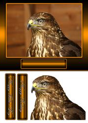 Buzzard Birthday / Father's Day Card