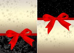 Two Christmas / Winter Backgrounds