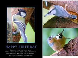 Garden Bird Birthday Quick Card