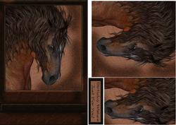 Horse Greeting Quick Card