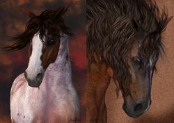 Two Horse Portrait Toppers