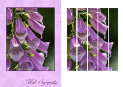 Foxgloves Sympathy Greeting Card