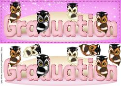 Owl Graduation Long Quick Card