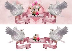 Dove Wedding Large Dl Card