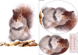 Christmas Squirrel with Winter Store