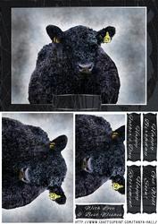 Watercolor Aberdeen Angus Quick Birthday or Other Card