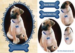 Puppy Birthday Greeting Quick Card