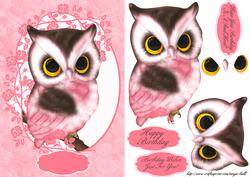 Cute Pink Owl Birthday Greeting Card