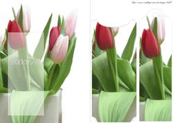 Oil Painted Tulip Bookmark Greeting Card