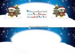 Large Dl Christmas Owl Insert