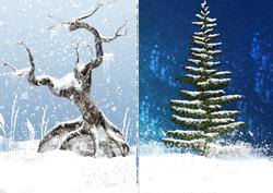 Two Winter Trees Fantasy Backgrounds