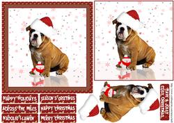 Cute Bulldog Christmas Quick Card