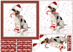 Jack Russell Christmas Quick Card with Sentiments