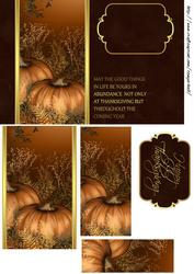 Stylish Pumpkin Thanksgiving Quick Card