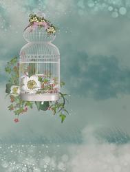 Fantasy Bird Cage Background