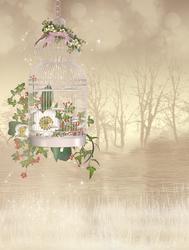 Fantasy Bird Cage Background 4