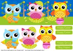 Cute Large Dl Easter Quick Card with Owls